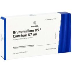 Bryophyllum D 5/conchae D7 Ampullen