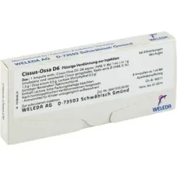 Weleda Cissus-ossa D6 Ampullen