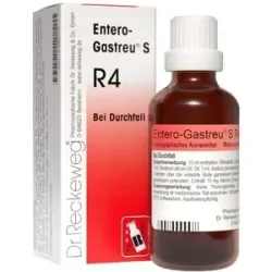 Entero Gastreu S R 4 Tropfen zum Einnehmen