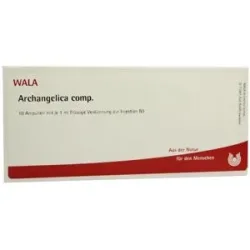 Wala Archangelica Comp. Ampullen