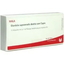 Wala, Wala Glandula Supraren. Dextra cum Cupro coll. Ampullen