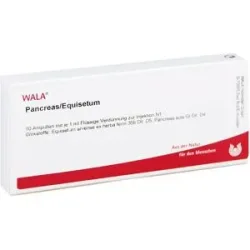 Wala Pancreas/ Equisetum Ampullen