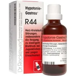 Hypotonie Gastreu R 44 Tropfen zum Einnehmen