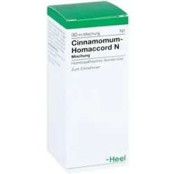 Cinnamomum Homaccord N Tropfen