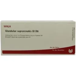 Wala Glandulae Supraren. Gl D6 Ampullen
