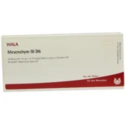 Wala Mesenchym Gl D6 Ampullen