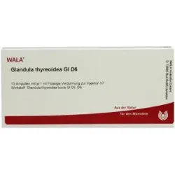 Wala Glandula Thyreoidea Gl D6 Ampullen