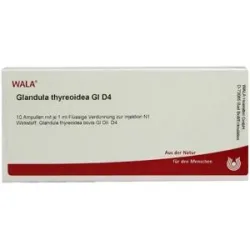 Wala Glandula Thyreoidea Gl D4 Ampullen