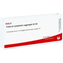 Folliculi Lymphatici aggregati Gl D5 Ampullen