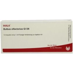 Wala Bulbus Olfactorius Gl D5 Ampullen