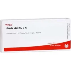 Cervix Uteri Gl D12 Ampullen