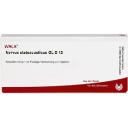 Wala Nervus Statoacusticus Gl D12 Ampullen
