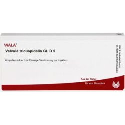 Wala Valvula Tricuspidalis Gl D5 Ampullen