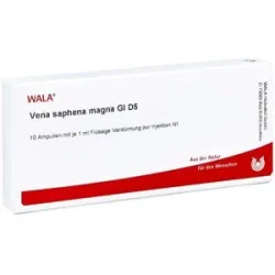 Vena Saphena magna Gl D5 Ampullen