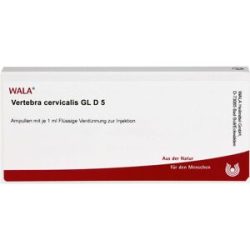 Wala Vertebra Cervicalis Gl D5 Ampullen