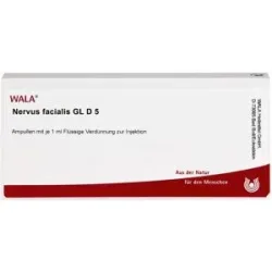 Nervus Facialis Gl D5 Ampullen