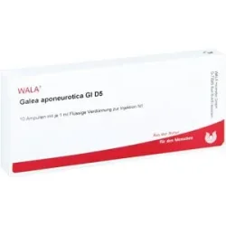 Wala Galea Aponeurotica Gl D5 Ampullen
