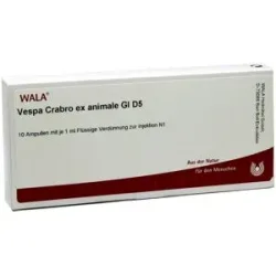 Wala Vespa Crabro Ex Animale Gl D5 Ampullen