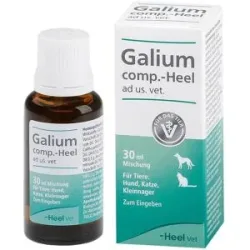 Galium-Heel Galium comp. ad us. vet. Tropfen