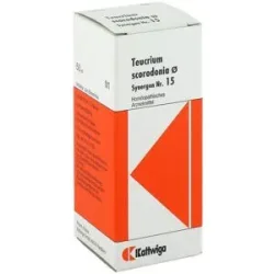Kattwiga Synergon 15 Teucrium Urtinktur
