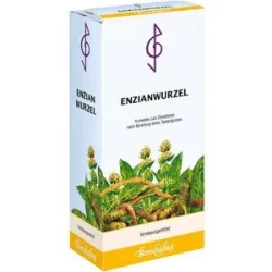 ENZIANWURZEL BOMBASTUS