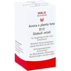 Wala Arnica E Planta tota D12 Globuli