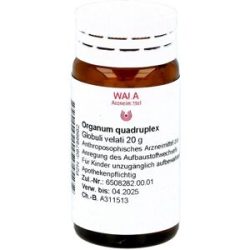 Wala Organum Quadruplex Globuli