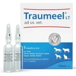Traumeel Lt Ampullen veterinär