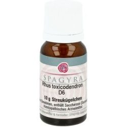Rhus Toxicodendron D6 Globuli