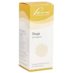 Thuja Similiaplex Mischung