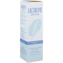 Lactacyd Derma Waschsyndet