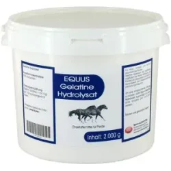 Gelatine Hydrolysat Equus Pulver veterinär