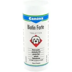 Biotin Forte Tabletten