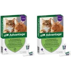 Advantage 80 mg für gr.Katzen und gr.Zierkaninchen