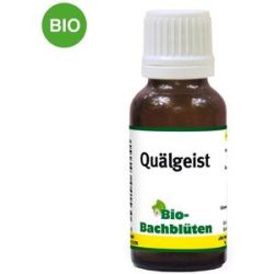 Bachblüte Quälgeist für Katzen