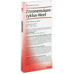 Zitronensäurezyklus Heel Ampullen