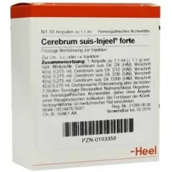 Cerebrum Suis Injeel forte Ampullen
