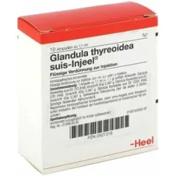 Glandula Thyreoidea suis Injeel Ampullen