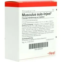Musculus suis Injeel Ampullen