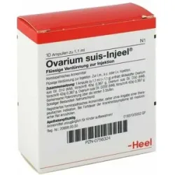 Ovarium Suis Injeel Ampullen