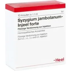 Syzygium Jambolanum Injeel forte Ampullen