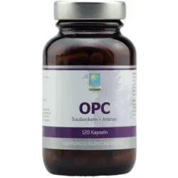 APOZEN Opc 200 mg Kapseln