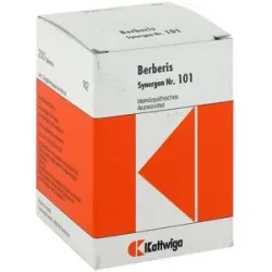 Synergon 101 Berberis Tabletten