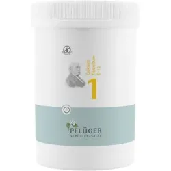 Biochemie Pflüger 1 Calcium fluor.D 12 Tabletten
