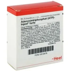 Atp Injeel forte Ampullen