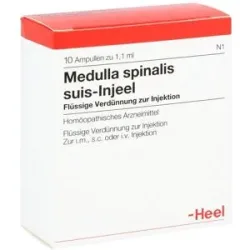 Medulla Spinalis suis Injeel Ampullen