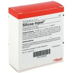 Silicea Injeel Ampullen