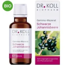 Gemmo Mazerat Schwarze Johannisbeere Doktor koll Ribes