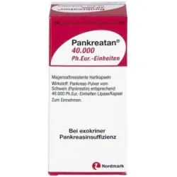 Pankreatan 40.000 Ph.eur.-einheiten Msr.hartkaps.