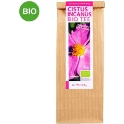 Cistus Incanus Bio Original Doktor pandalis Tee